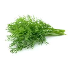 Fresh Dill - Freshco