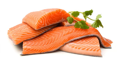 Fresh Fish
