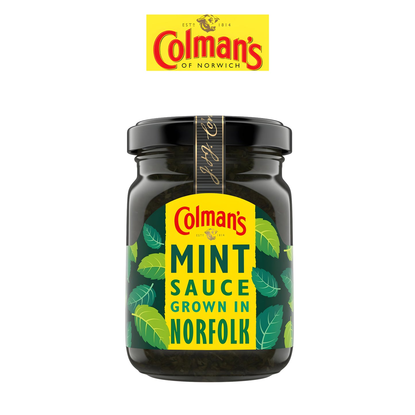 Mint Sauce 165g - Freshco - Colman's - Freshco
