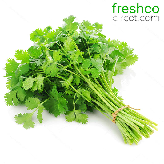 Coriander Bunch - Freshco