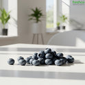 Blueberries – Ripe, Juicy, and Packed with Health Benefits - Freshco