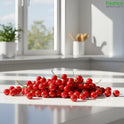 Cranberries – Rich, Vibrant, and Packed with Nutrients - Freshco
