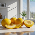 Melon - Honeydew – Mild, Juicy, and Perfectly Refreshing - Freshco