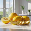 Melon - Honeydew – Mild, Juicy, and Perfectly Refreshing - Freshco