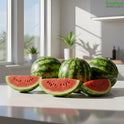 Melon - Watermelon – Refreshing, Juicy, and Bursting with Summer Flavour - Freshco