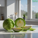 Cabbage Green - Freshco