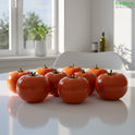 Tomatoes - Freshco