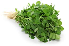 Fenugreek (Methi) - Freshco